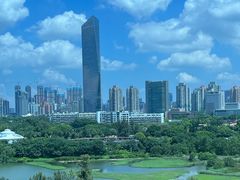 -华侨城湿地公园