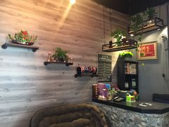 -唐小姐の猫狗洗护·购宠旗舰店(周浦万达店)