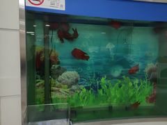 -雅悦齿科(顾村公园店)