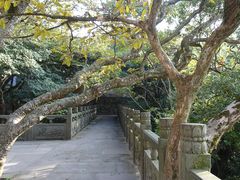 -普陀山风景区-佛顶山