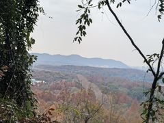 -九曜山