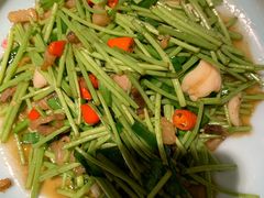 芦蒿风吹肉-小湘旺臭鳜鱼(百子湾店)