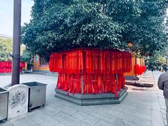 -龙华素斋(龙华路店)