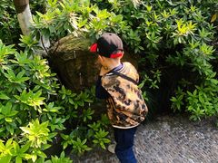 -杭州黄龙洞