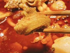 -李子坝梁山鸡(北碚万达五鸡哥店)