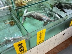 -寻味顺德·南记酒家·传统顺德菜·鱼生(广源路店)