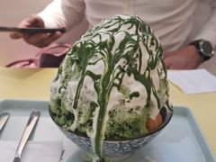 -王守财小山園