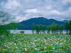-四明湖