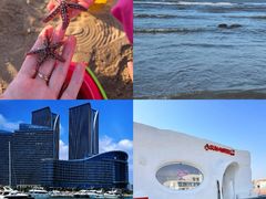 -巧克力渔家.小船海鲜胶东菜(万平口店)