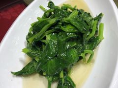 豌豆尖-万柳阁小馆·花园餐厅(龙潭湖店)