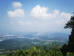 -黄埔油麻山森林公园