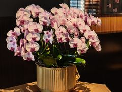 -庐灶江南·江南菜·四合院Bistro(东直门·华侨夜泊君亭店)
