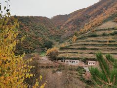 -云顶山风景区