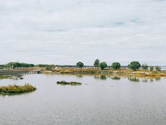 -卧龙湖