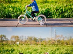 -永定河休闲森林公园