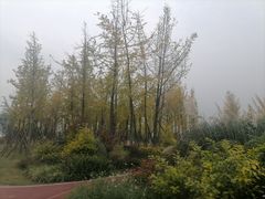 -府河摄影公园