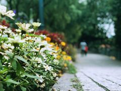 -西湖风景区-江洋畈生态公园