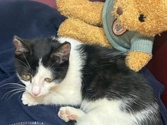 -辣贵州总店辣归州