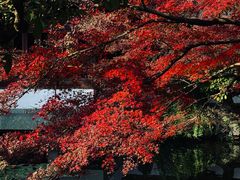 -郭庄景区