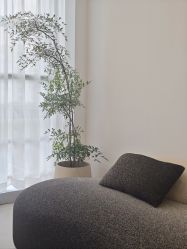 -JNK皮肤管理中心