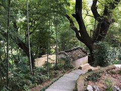 -塔川景区