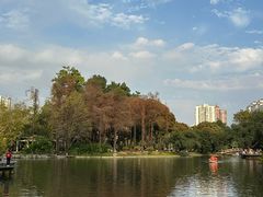 -晓港公园