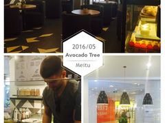 -油梨树 AVOCADO TREE(亮马桥店)
