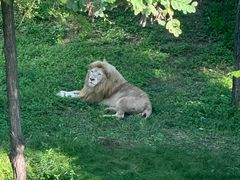 -石家庄市动物园