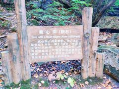 -五女峰国家森林公园