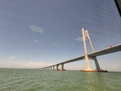 -招商蛇口邮轮母港(观光客运)