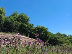-妙峰山风景名胜区