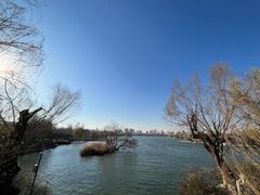 -济南大明湖景区