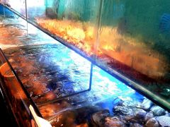 水产区-南海渔家•海鲜•正宗海南菜(海棠湾店)