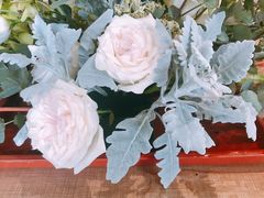 -花到家(富贵鸟花艺行)