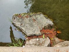 -趵突泉景区
