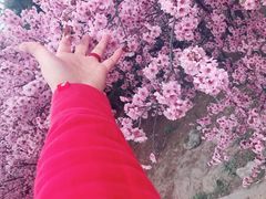 -永安烧烤