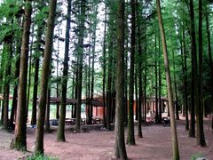 -南宁良凤江国家森林公园