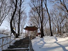 -香炉山国家森林公园