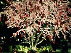 iphone_upload_pic-苏州金鸡湖中茵皇冠假日酒店