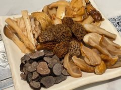 -蘑统田下·野生菌火锅