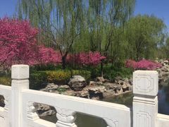 -河北省园博园