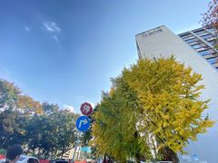 -辣斗辣火锅(太古里店)