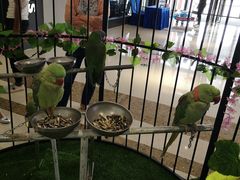 -万达广场(盐城盐都店)