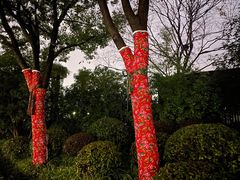 -中华恐龙园
