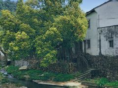 -尚田草莓姑娘白草莓采摘基地