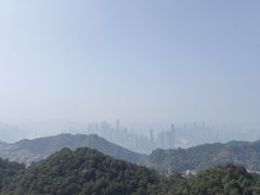 -大金鹰园