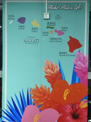 -呼拉汇舞蹈生活馆 Hawaii Hula&Tahiti Dance Studio