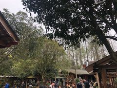 -青城甲(青城山店)