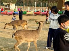 -盈香心动乐园
