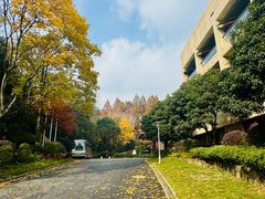 -拾溪餐厅(杭州千禧度假酒店)